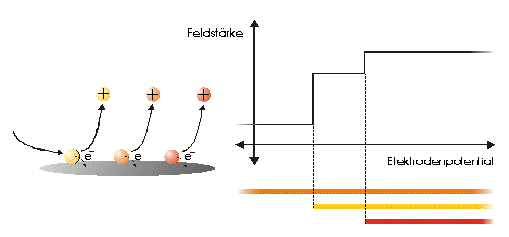 Abbildung 3